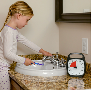 TIME TIMER® PLUS 60 MINUTE