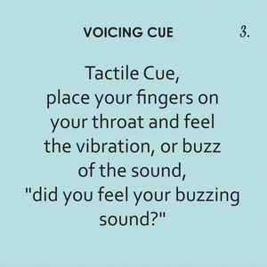 Minimal Pairs: Voicing