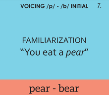 Minimal Pairs: Voicing