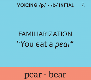 Minimal Pairs: Voicing